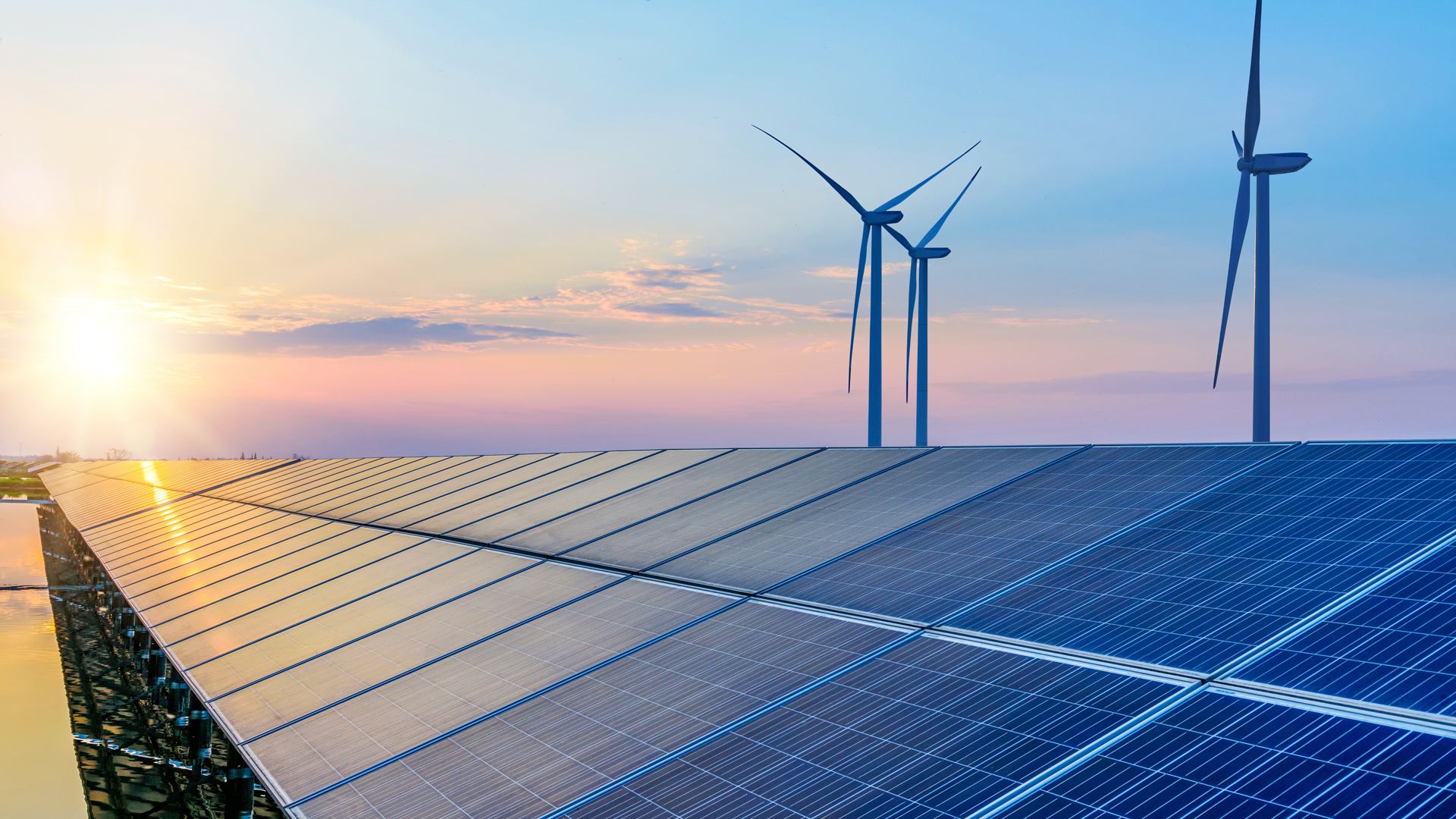 Gov Net Zero Plans