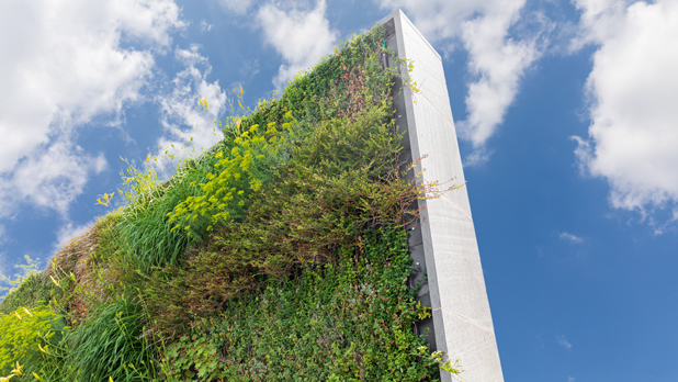 Green Wall Image Small