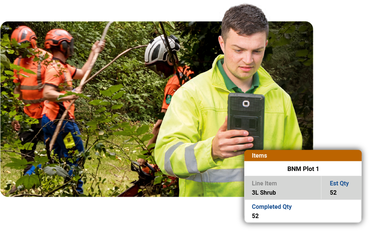 Landscaping Vegetation Clearance