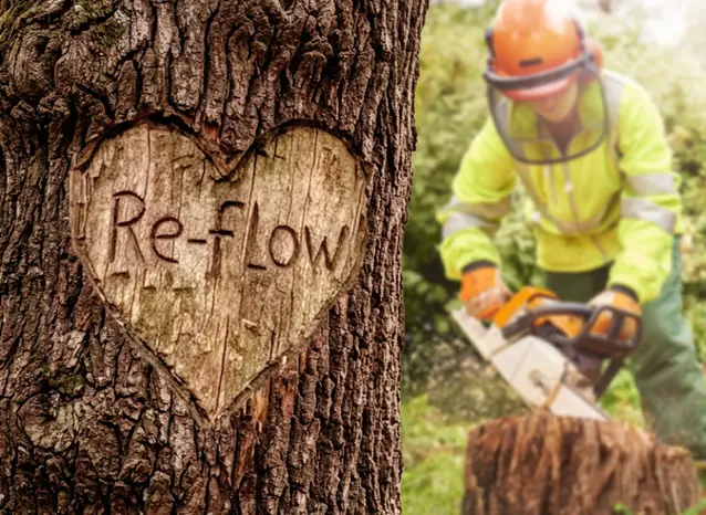 Tree Heart