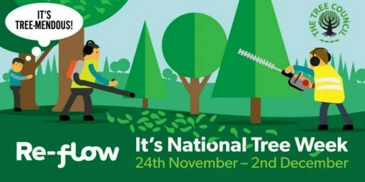 It's National Tree Week in the UK!