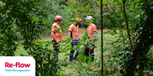 Re-flow Field Management Review by Golden Tree Surgeons