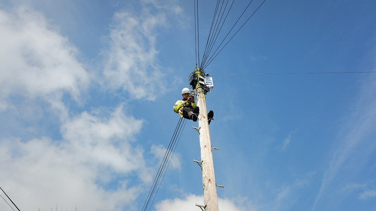 Diversity in utilities 1